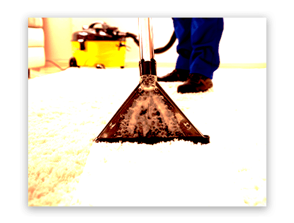 Expert Carpet Cleaning Subiaco