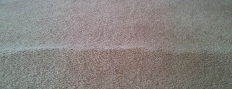 Treat Your Carpet For Shedding